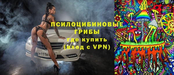 твердый Алзамай