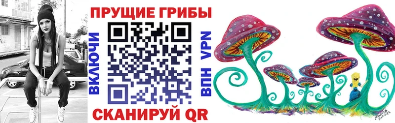 Псилоцибиновые грибы Psilocybe  наркошоп  Балабаново 